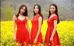 迅雷高速校园春色